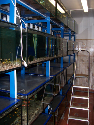 Aquarium MiDa Schober - Breadroom