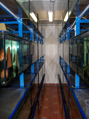 Aquarium MiDa Schober - Breadroom 2 